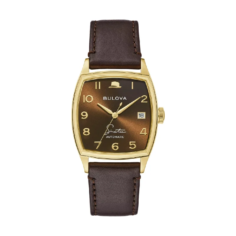 Young at Heart Gold-Tone 33.5mm - Brown on Leather Strap